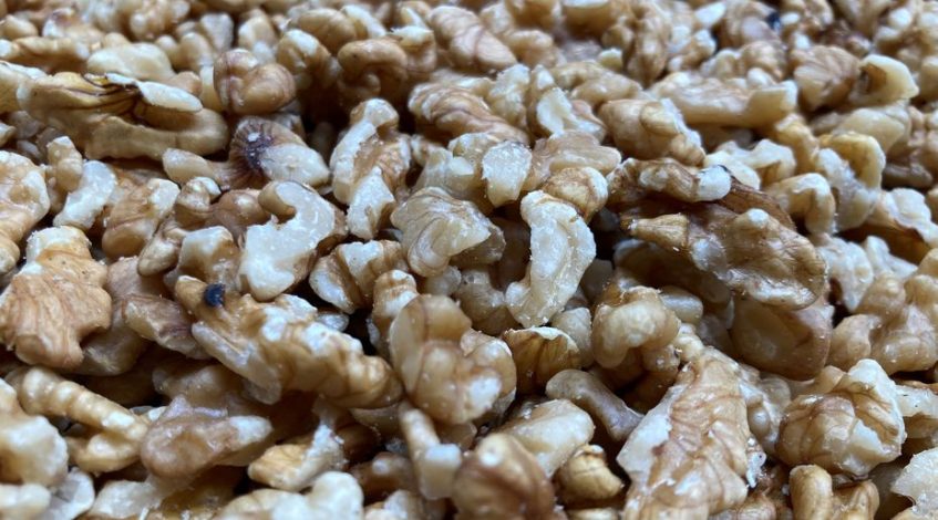, Baisse des prix, ventes en berne… L&rsquo;inquiétude des producteurs de noix de Grenoble